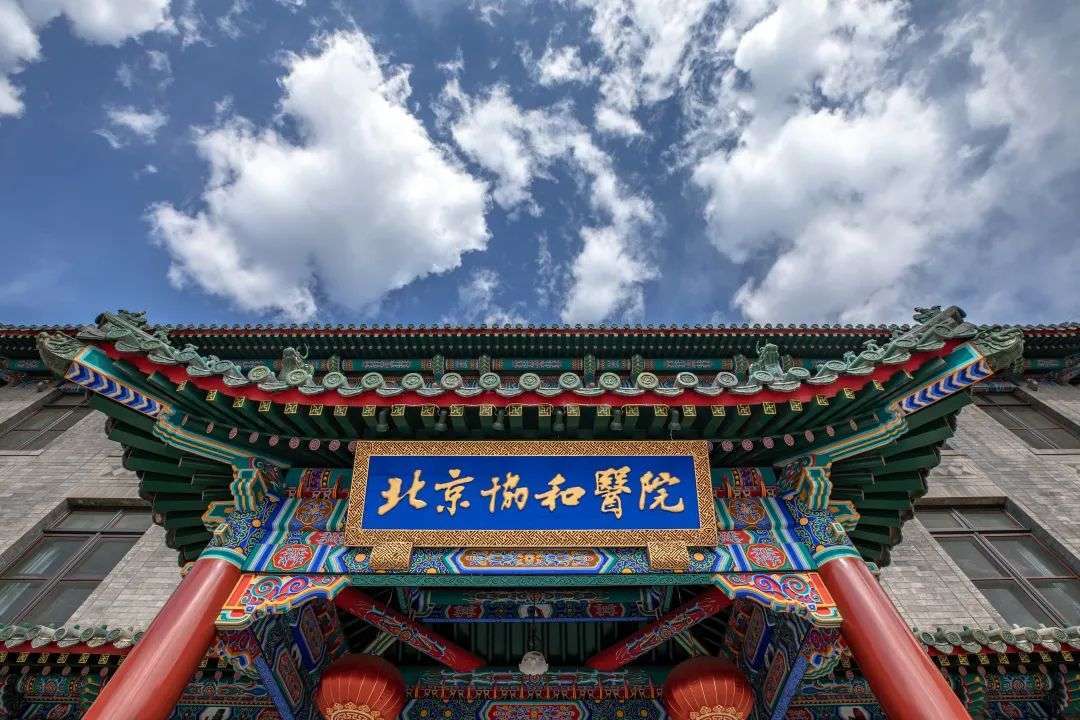 汉杏林|陪诊|挂号|陪诊服务|医院陪诊|北京陪诊|预约挂号|办理住院|预约专家|预约手术 汉杏林|陪诊|挂号|陪诊服务|医院陪诊|北京陪诊|预约挂号|办理住院|预约专家|预约手术